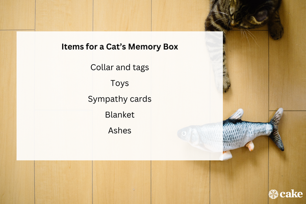 Items for a Cat’s Memory Box